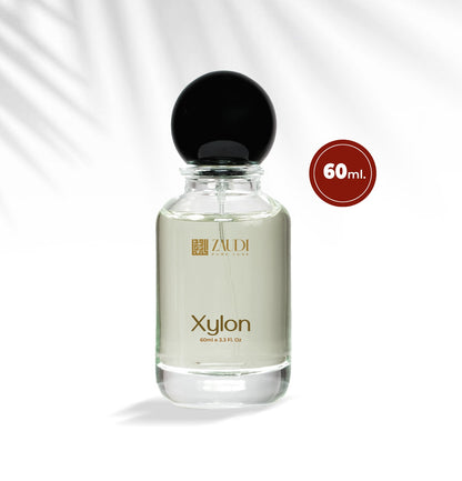 Xylon- Men - Inspired By Paco Rabanne Black XS