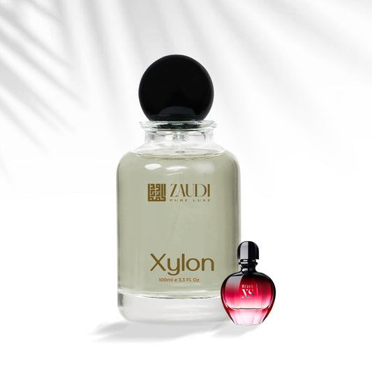 Xylon- Men - Inspired By Paco Rabanne Black XS